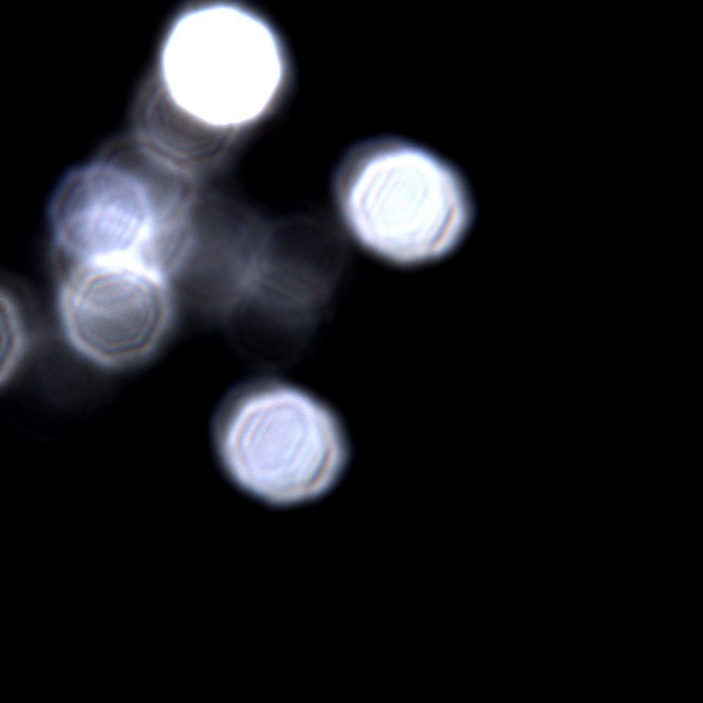 Kelly-lab-3_credit_Claudio_Cortes