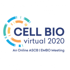 Cellbio Cellbio