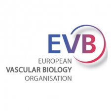 EVB EVB