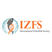 IZFS IZFS