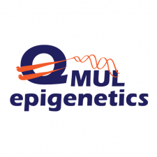 Qmul Qmul