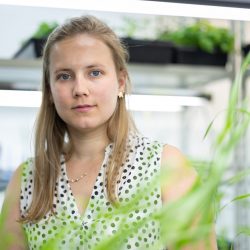 Alice Malivert postdoctoral research fellow, researcher in plant developmental plasticity. Schmidt futures for Artificial Intelligence (AI) in science. In the plant growth room.
Alice is creating an AI tool to detect drought stress from plant leaf images.